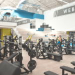 News: incarico Webfit
